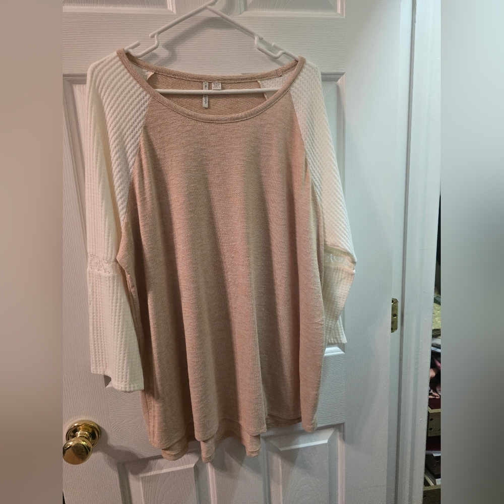 Cato Beige Knit Raglan Sleeve Top with Cream Sleeves